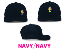 Load image into Gallery viewer, SC logo embroidered - Pacific 104c snapback hats
