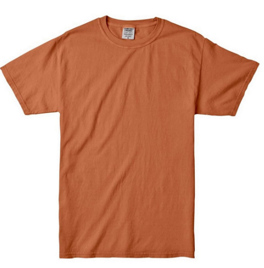 ADULT Comfort Colors Short Sleeve c1717