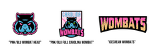 Load image into Gallery viewer, ADULT A4 *Drifit* Long Sleeve Tee- Icecream Wombats Design
