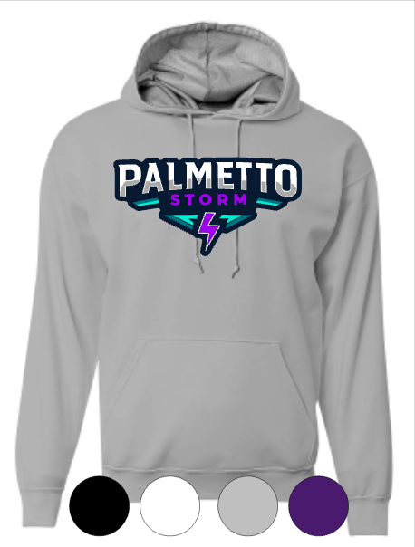 *YOUTH* Hooded Sweatshirt- Palmetto Storm Bolt